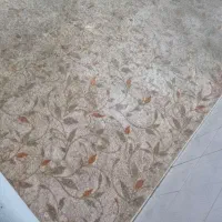 موکت پالاز تافتینگ ۱۲متری|موکت|قزوین, |دیوار