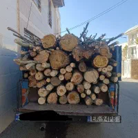 چوب درختان|گل و گیاه طبیعی|بروجرد, |دیوار