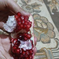 انار کیلوی ۵۰|حراج|نورآباد, |دیوار