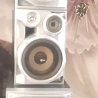 ظبط