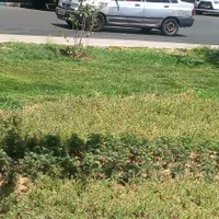 نیازمند خاور رو باز اجاره هستم