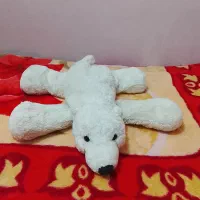 عروسک های تمیز و نو|اسباب‌‌بازی|آبادان, |دیوار