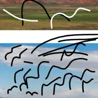 آخرین گم شده کبوتر خبربده