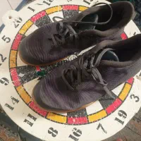 کتونی سالنی اورجینال|کیف، کفش، کمربند|قم, یزدانشهر|دیوار