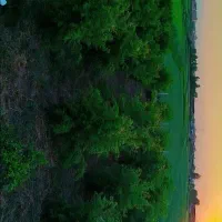 باغ انار 1000متری چهار ساله روستای زنگیان|فروش زمین و ملک کلنگی|گرگان, |دیوار