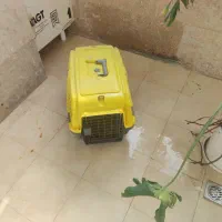 باکس سگ قابل حمل