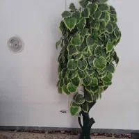 گل و درختچه مصنوعی
