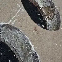 طاقچه سهبعدی باند خانواده پژو|قطعات یدکی و لوازم جانبی|خمینیشهر, |دیوار