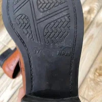 کفش زنانه|کیف، کفش، کمربند|اسفراین, |دیوار