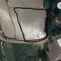 زمین-کشاورزی-لب-جاده