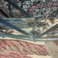 دوچرخه رالی 29|دوچرخه، اسکیت، اسکوتر|کرمان, |دیوار