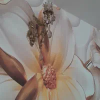 یکجفتلوستربرنجیچراغشب