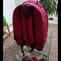 کیف حمل|کیف، کفش، کمربند|کرج, اصفهانیها|دیوار