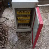 دستگاه جوجه کشی