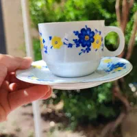 یک دست فنجون و نعبلکی