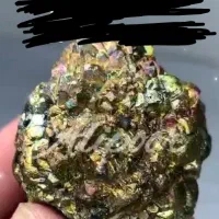 کارشناسی و خرید