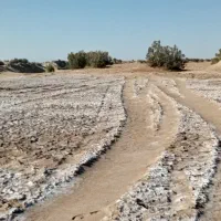 اجاره خودرو