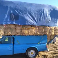 فروش بیده کاه نرمه بنجه پخل گندم پرس یونجه گندم|لوازم جانبی حیوانات|قوچان, |دیوار