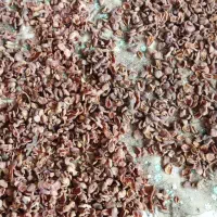 زرد الوی خشک و آلوچه خشک|خوردنی و آشامیدنی|تبریز, |دیوار