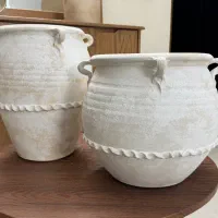گلدان مناسب کاشت درختچه زینتی