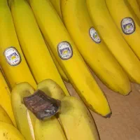 شاگرد میوه فروشی|استخدام خدمات فروشگاه و رستوران|بروجن, |دیوار