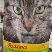 غذا و وسایل گربه