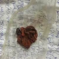 فال رایگان تک نیت دعا