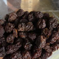 آلو زرد خشک|خوردنی و آشامیدنی|شیراز, تلخ داش|دیوار