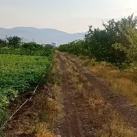 باغ ۳۰۰۰متری لب اتوبان زنجان تهران سندتکبرگ|فروش دفتر صنعتی، کشاورزی، تجاری|تهران, فرودگاه مهرآباد|دیوار