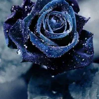 کسب درآمد دلاری راحت