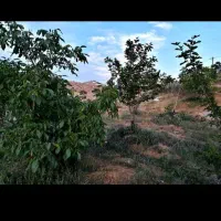 باغ فروشی