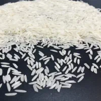 برنج شمال/برنج درجه یک/برنج طارم اعلاء/برنج هاشمی|خوردنی و آشامیدنی|بابل, |دیوار