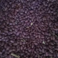 انواع حبوبات زیرقیمت لوبیا قرمز150