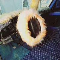 زامیاد ۴۰۲ معاوضه با پژو پارس هم میشه|خودرو سواری و وانت|سراوان, |دیوار