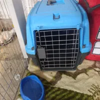 باکس و فنس بازی