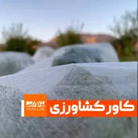 فوم ( کاور کشاورزی) ضد سرمازدگی