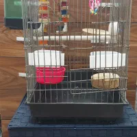 قفس پرنده  ۱۰۳۲ با لوازم کامل