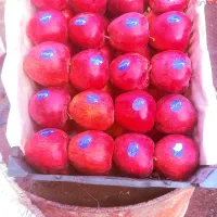 سیب فوق العاده خوشمزه ۳۸ جعبه دو ردیفی هست