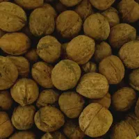 گردو درجه یک خوش مغز و چرب
