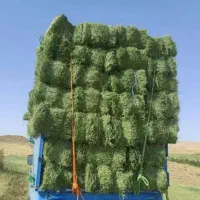 یونجه پرس شده و سبوس