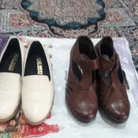کفش سایز ۳۶