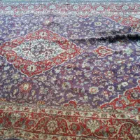 قالی ۶ متری|فرش|بوشهر, |دیوار