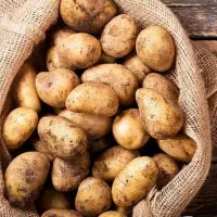 سیب زمینی خوراکی ( اسپریت )