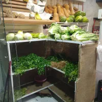 فروش وسایل میوه فروشی نکمیل