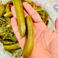 خیارشور سطلی 8 کیلو خالص|عمده‌فروشی|اهواز, شریعتی جنوبی|دیوار