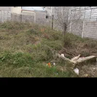 ۱۱۰متر زمین نسقی..دوبر. مسکونی منطقه پیرکلاچای