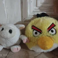 دکوری ع ر وسک