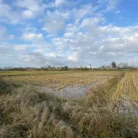 1000متر شالی ماشین رو