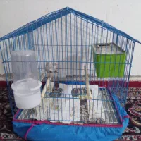 فنچ