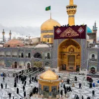 داو‌طلبانه